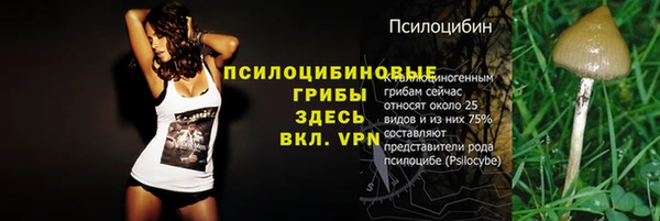 spice Алзамай