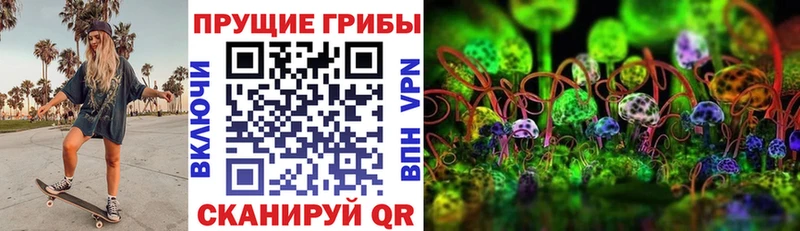 Псилоцибиновые грибы мухоморы закладка Пущино